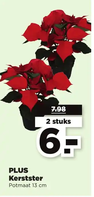 PLUS PLUS Kerstster Potmaat 13 cm 2 stuks aanbieding