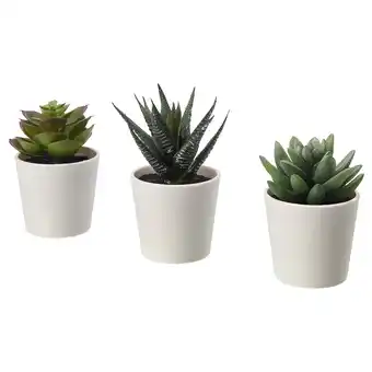 IKEA Fejka kunstplant met pot, binnen/buiten succulent, 6 cm 3 st aanbieding