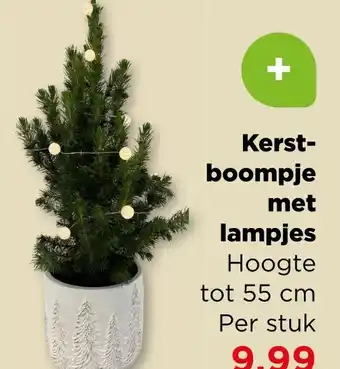 PLUS Kerst- boompje met lampjes aanbieding