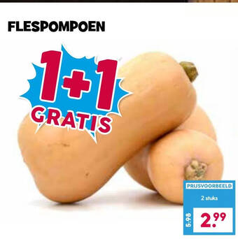 Boon`s Markt Flespompoen aanbieding