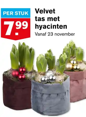 Hoogvliet Velvet tas met hyacinten aanbieding