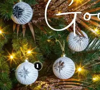 Tuincentrum Osdorp Kerstballen aanbieding