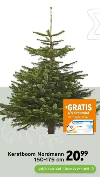 GAMMA Kerstboom Nordmann aanbieding