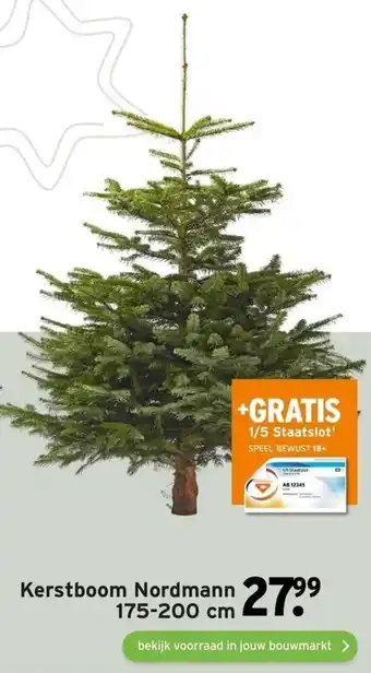 GAMMA Kerstboom Nordmann aanbieding