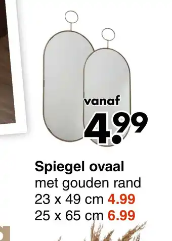 Wibra Spiegel Ovaal 23 x 49 cm aanbieding