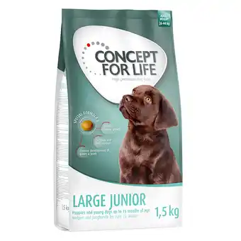 Zooplus 1,5kg large junior concept for life hondenvoer aanbieding