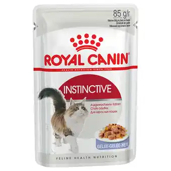 Zooplus 48x85g instinctive in gelei royal canin kattenvoer aanbieding