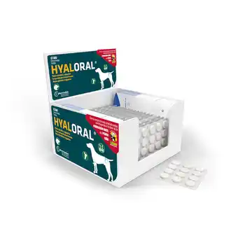 Zooplus Hyaloral grote & zeer grote rassen - dubbelpak: 2 x 360 tabletten aanbieding