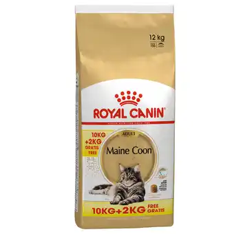 Zooplus 10 + 2 kg gratis! 12 kg royal canin droogvoer katten - maine coon adult aanbieding