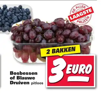 Nettorama Bosbessen of Blauwe Druiven aanbieding