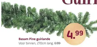 Coppelmans Basam pine guirlande aanbieding