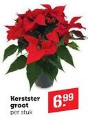 Coop Kerstster groot aanbieding