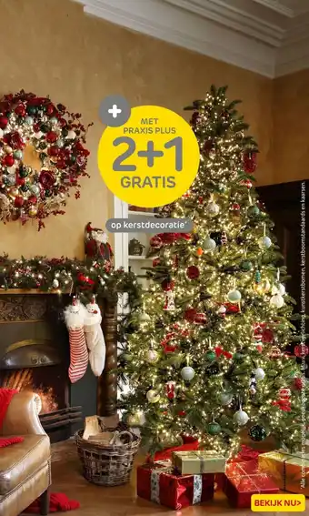 Praxis op kerstdecoratie aanbieding