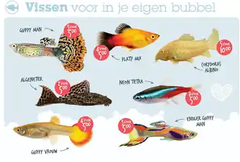 Discus Vissen voor in je eigen bubbel aanbieding