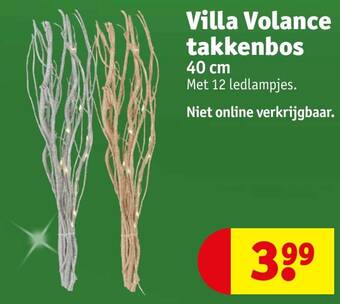 Kruidvat Villa Volance takkenbos 40 cm aanbieding