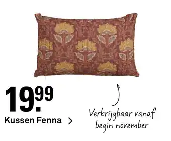 Karwei Kussen fenna aanbieding