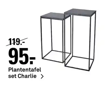 Karwei Plantentafel set charlie aanbieding