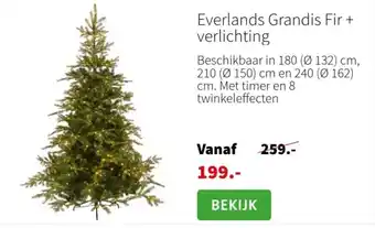 Intratuin Everlands Grandis Fir + verlichting aanbieding