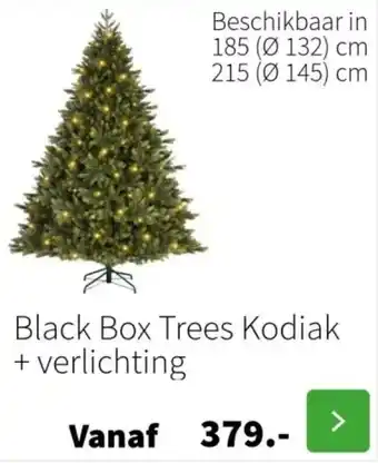 Intratuin Black Box Trees Kodiak + verlichting aanbieding