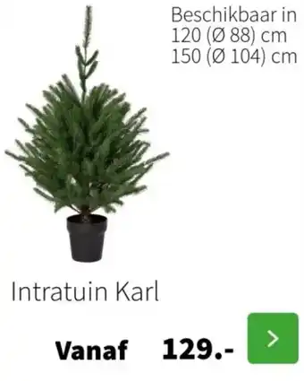 Intratuin Intratuin Karl aanbieding