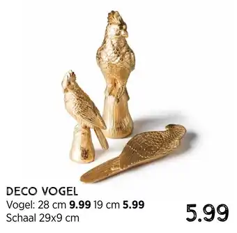 Xenos Deco vogel schaal 29*9cm aanbieding