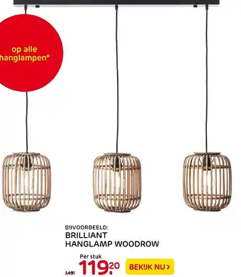 Praxis Brilliant Hanglamp Woodrow aanbieding