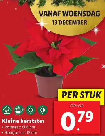 Lidl Kleine kerstster aanbieding