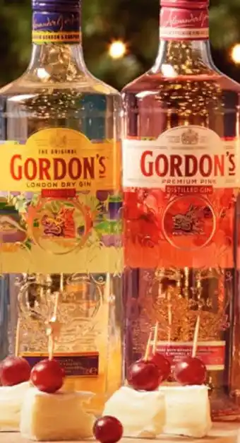 PLUS Gordon's gin aanbieding