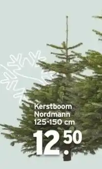 GAMMA Kerstboom nordmann 125-150 cm aanbieding