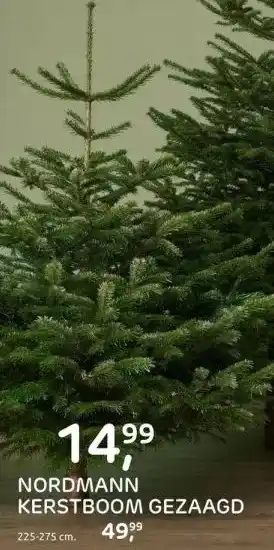 Praxis Nordmann kerstboom gezaagd aanbieding