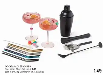 Xenos Cocktailaccessoires aanbieding