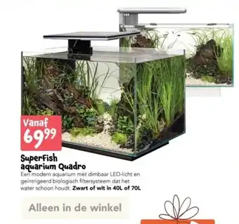 Discus SuperFish aquarium Quadro aanbieding