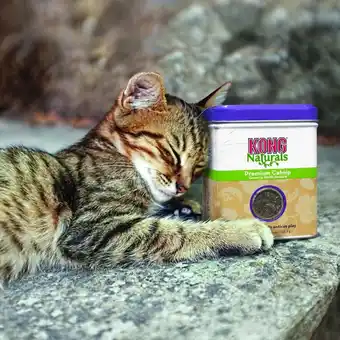 Bol.com Kong naturals catnip – kattenkruid – navulling – kattenspeelgoed – 28.3g aanbieding