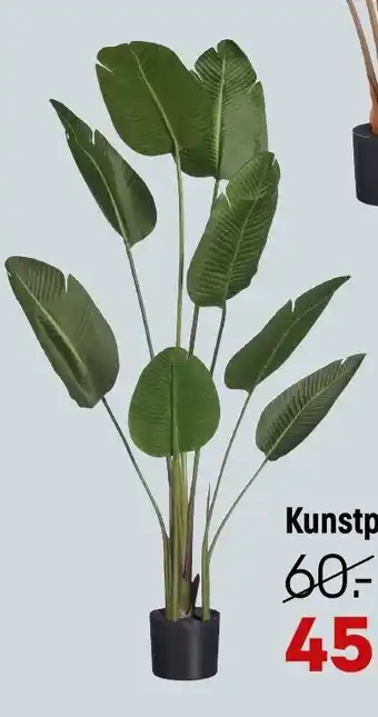 Kwantum Kunstplant Strelitzia aanbieding