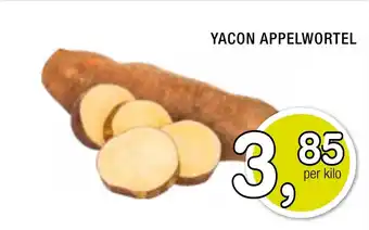 Amazing Oriëntal Yacon appelwortel aanbieding