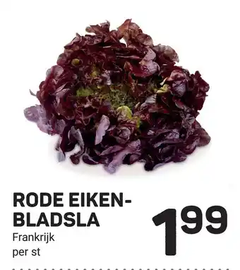 Ekoplaza Rode eikenbladsla aanbieding