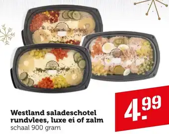 Coop Westland saladeschotel rundvlees, luxe ei of zalm schaal 900 gram aanbieding