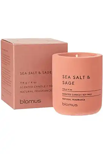 Amazon blomus - RAGA Geurkaars S van sojawas, Withered Rose, hoogwaardige kamergeur, karakteristieke betonlook, geur SEA SALT & SAGE aanbieding