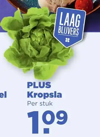 PLUS Kropsla aanbieding