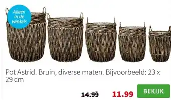 Intratuin Pot Astrid. Bruin, diverse maten. Bijvoorbeeld: 23 x 29 cm aanbieding