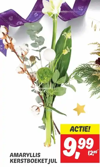 Dekamarkt AMARYLLIS KERSTBOEKET JUL aanbieding