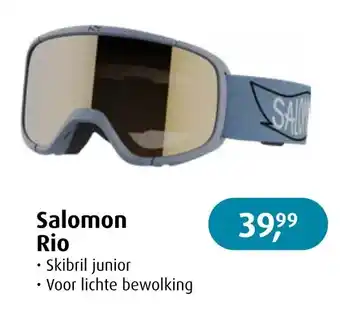 De Wit Schijndel Salomon rio aanbieding