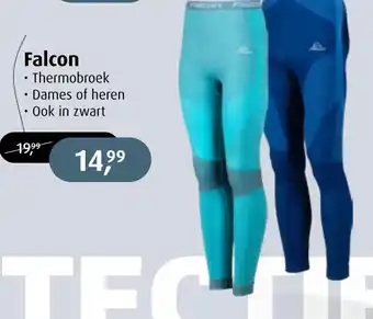 De Wit Schijndel Falcon aanbieding