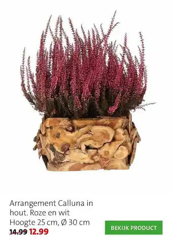 Intratuin Arrangement Calluna In Hout aanbieding