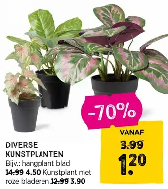 Xenos DIVERSE KUNSTPLANTEN aanbieding