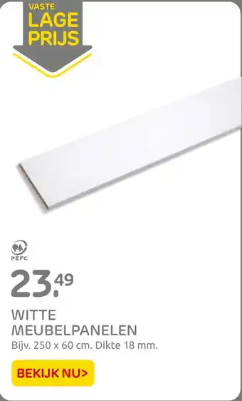 Praxis WITTE MEUBELPANELEN Bijv 250 x 60 cm aanbieding