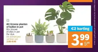 Albert Heijn Ah groene planten of bollen in pot bijv. blauwe druifjes in pot per stuk aanbieding