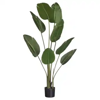 Kwantum Kunstplant strelitzia groen aanbieding