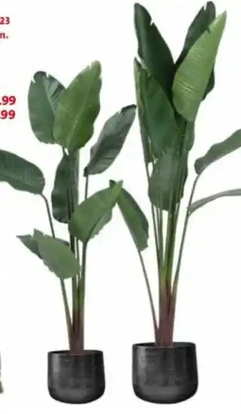 Intratuin Strelitzia. Kunstplant.  159cm aanbieding