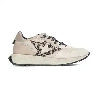 Spartoo Lage sneakers cetti lux montblanc c-1311 sneakers aanbieding